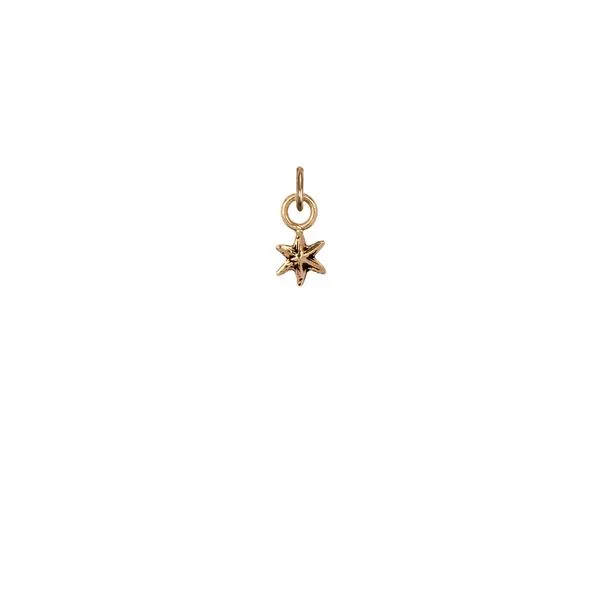 14k Gold Star Charm Pendant